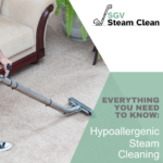 hypoallergenic steam cleaning