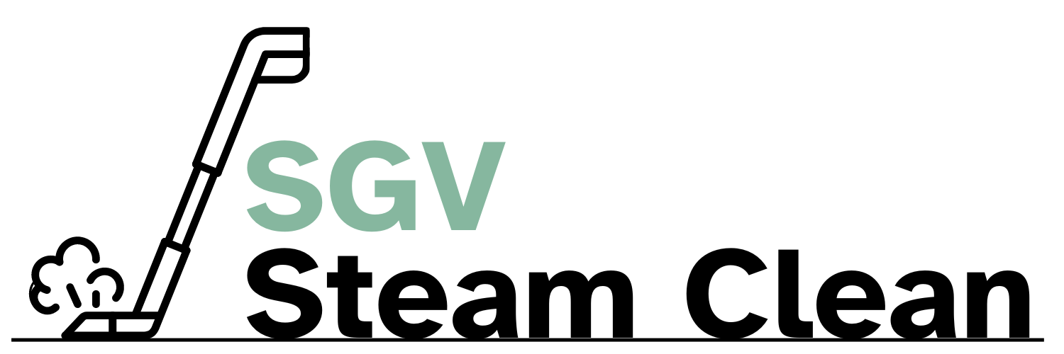 SGV Steam Clean
